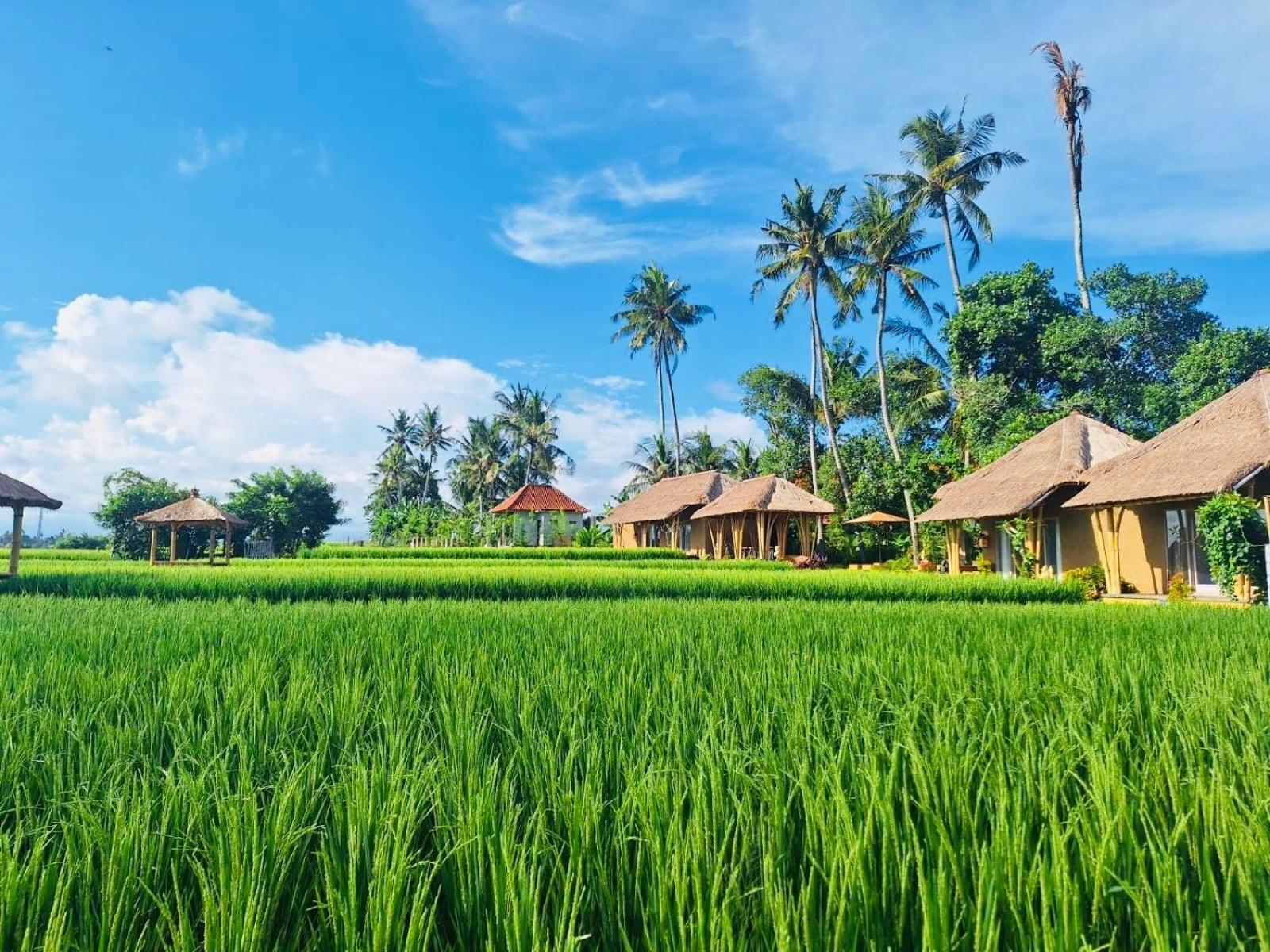 Rumah Kita Ecolodge Ubud Eksteriør billede