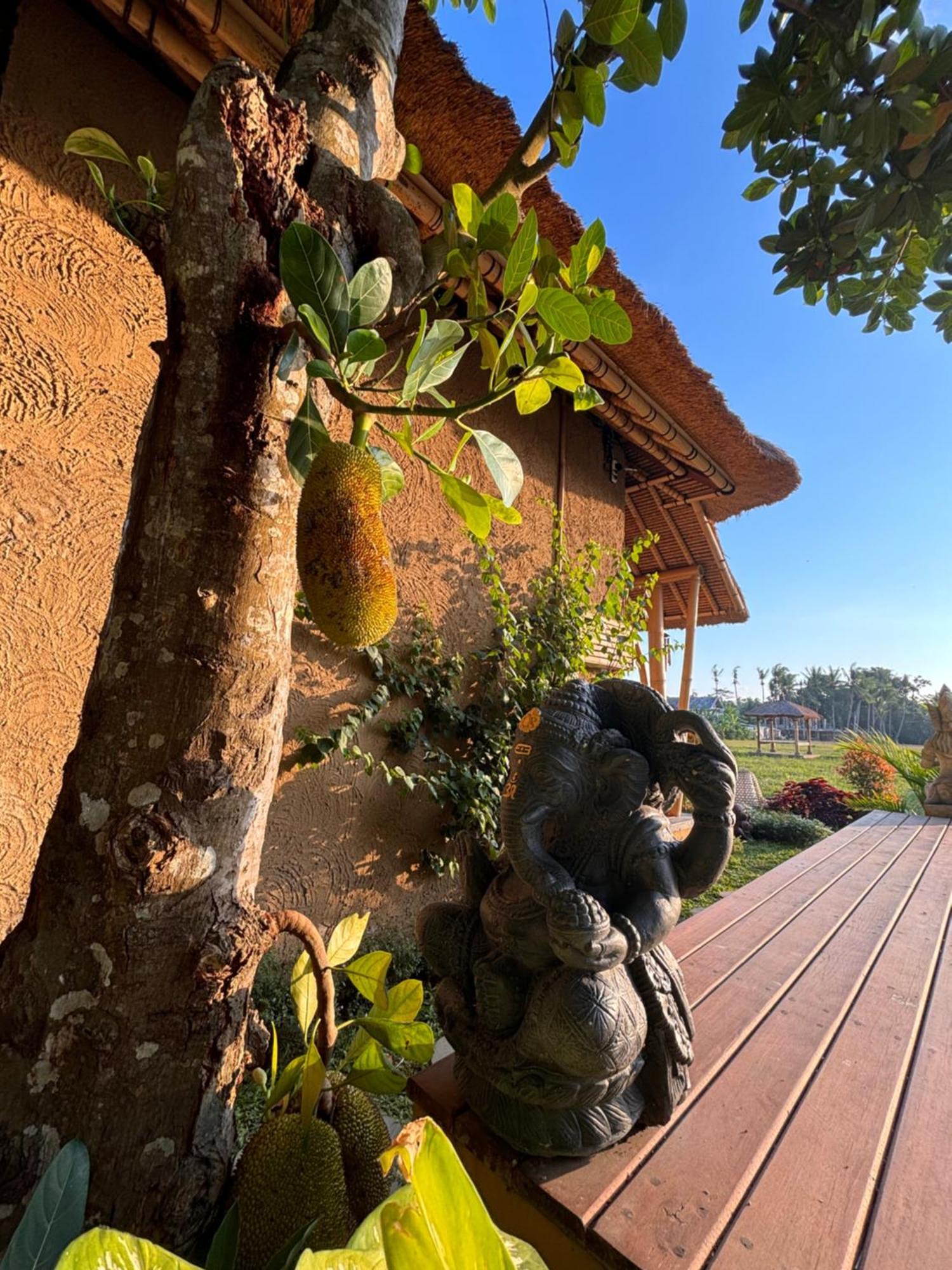 Rumah Kita Ecolodge Ubud Eksteriør billede