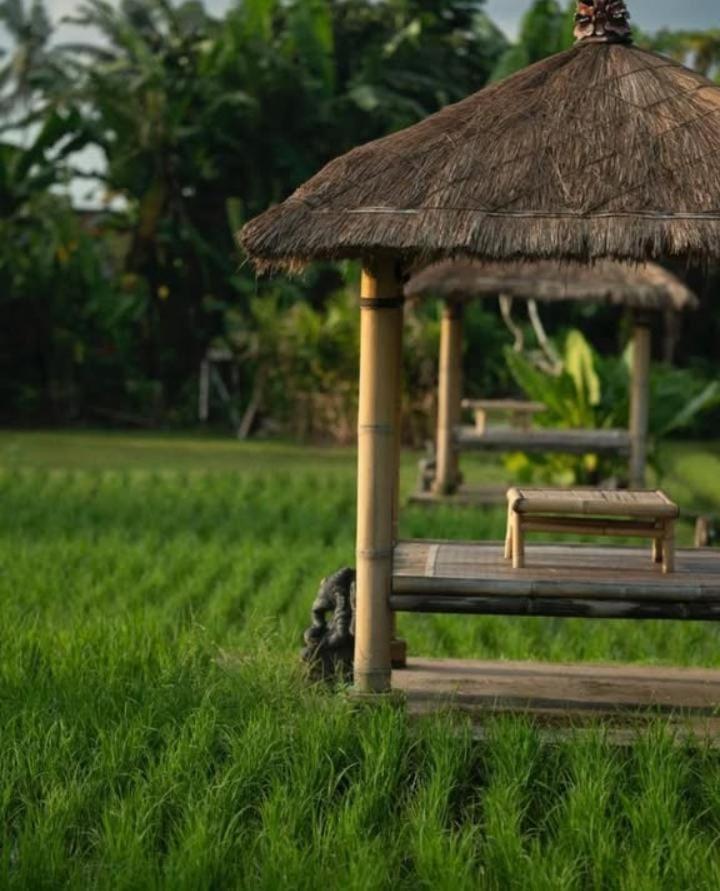 Rumah Kita Ecolodge Ubud Eksteriør billede